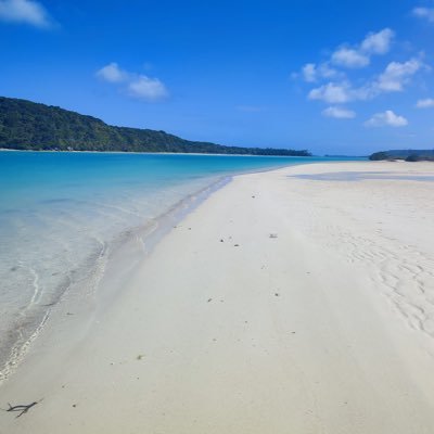 SEOswzr's profile picture. French SEO AI lover