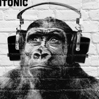 Tatonic (@tatonicmusic) 's Twitter Profile
