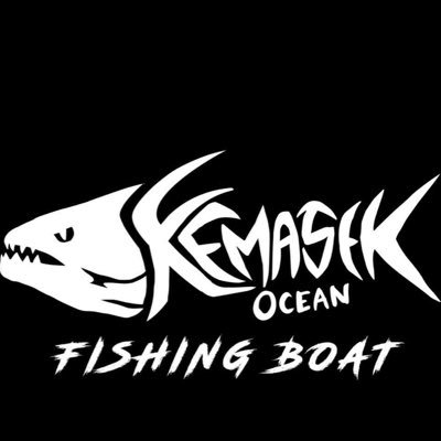 ❗️sport fishing trip (bottom, jigging, candat)❗️
❗️boat charter (sightseeing tour, surveying) ❗️