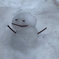 Joseph Brody (@josephwbrody) 's Twitter Profile