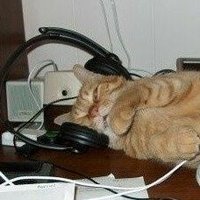 ~𝕯𝖆𝖓𝖑𝖎𝖓~ (@danlinyy) 's Twitter Profile Photo