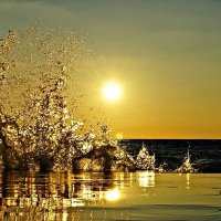Beau Swanson Photography NFT (@beauswan83) 's Twitter Profile