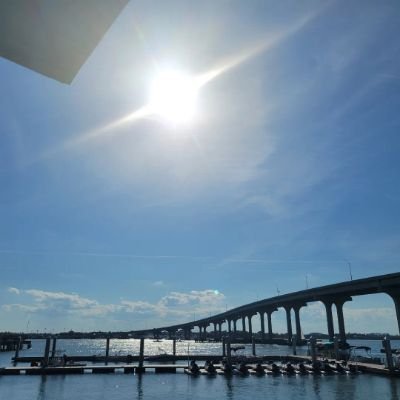 melissa216035's profile picture. Jets Mets Knicks Rangers FAU/FSU