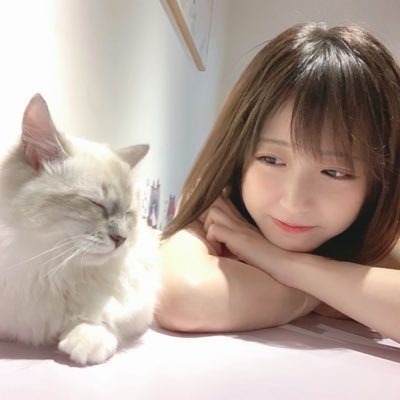 dx8bs7CLAT1BCUb's profile picture. 日々の記録。