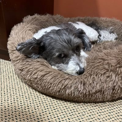 zacwhatsnewman's profile picture. A man who knows where his towel is.