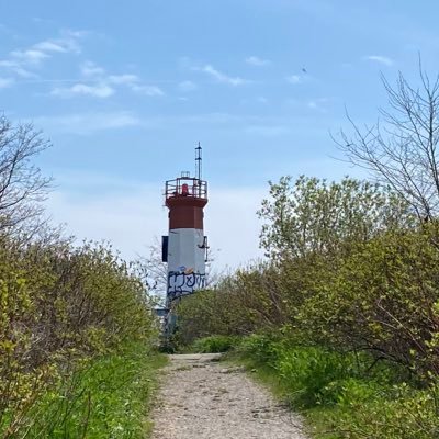 Sharing the best and latest on Toronto’s parks and ravines. | #TOparks #TOravines #LovetheRavines | Tweets by @cmackTO