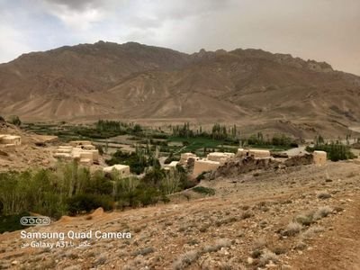 HashemAmmar4's profile picture. To care and feel others.