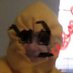 imjustcleb (@imjustcleb) Twitter profile photo imjustcleb (@imjustcleb) Twitter profile photo
