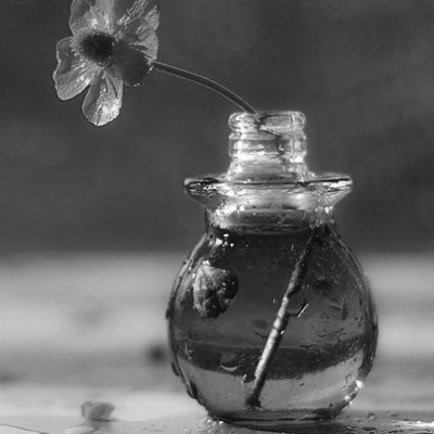 shapeare's profile picture. CG Developer