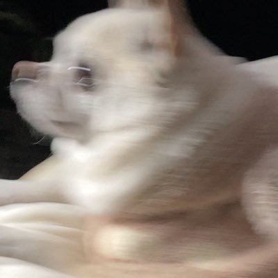おにもつさんのプロフィール画像