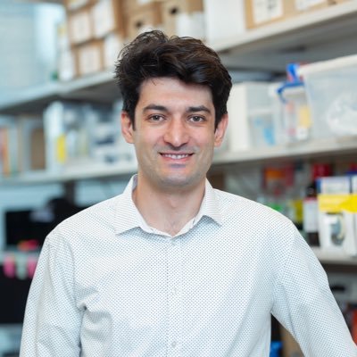 Abderezak Zebboudj Profile