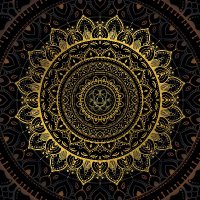Shromy (@shromy5) 's Twitter Profile Photo Shromy (@shromy5) 's Twitter Profile Photo