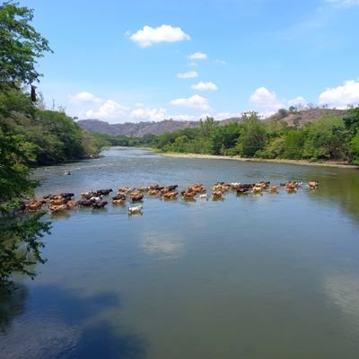 XIMENAL18461117's profile picture. 