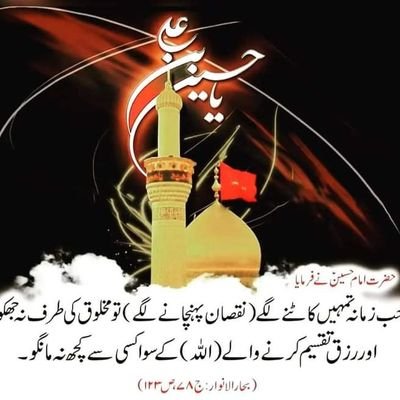 HamidDa69655516's profile picture. Hii