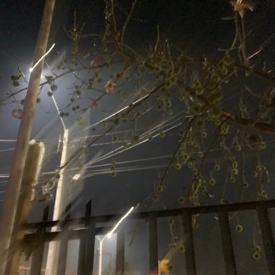 elbahzatu's profile picture. 