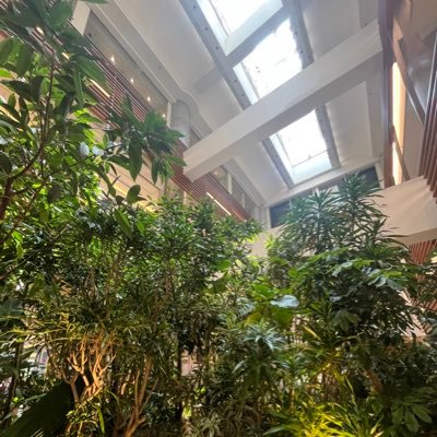 aYZLNY7WfGygBYp's profile picture. 法政大学 理工学部 創生科学科