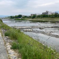 弁護士 津金貴康 (@tsuganetakayasu) 's Twitter Profile Photo