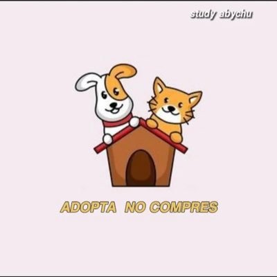 Adoptar es un acto de amor