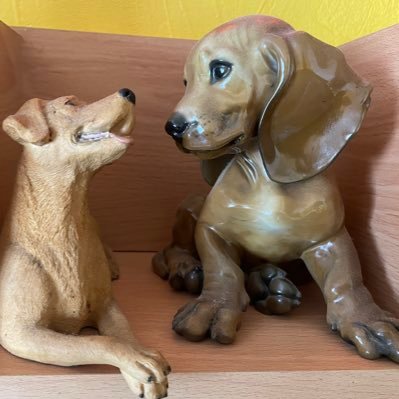 SardogSammy's profile picture. Selbstzweifler.. Autodidakt...Traktorfahrer...ehemaliger Depressionist. Es ist weniger interessant wie ich gelebt habe, es ist interessanter wie ich leben will.
