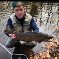 Collin Krakowski (@collinkrakowski) 's Twitter Profile