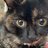 ねこのひげ集める人のアイコン