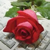 AMANI ALSHATTI (@miswhishes) Twitter profile photo