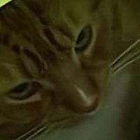 jater (@nice69420bruh) 's Twitter Profile