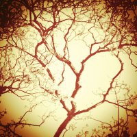 Bnjmn1976 (@benmason101) 's Twitter Profile