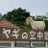 駄犬のアイコン