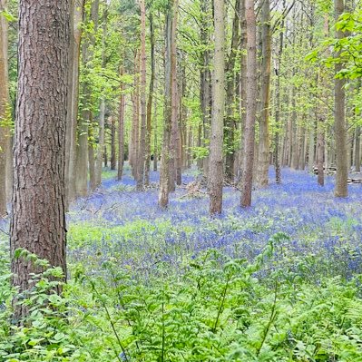 EramFarooq's profile picture. 