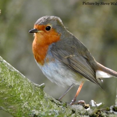 Vipgour's profile picture. 