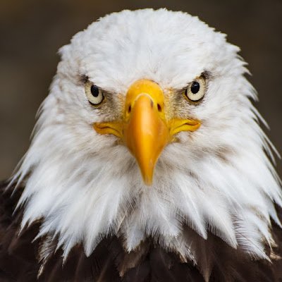 javaboy82928465's profile picture. 