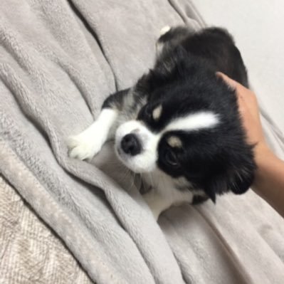 Engine11NFT's profile picture. NFT FOR ENGINE11