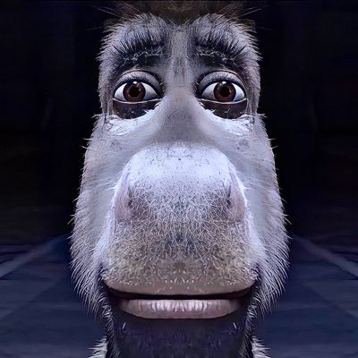 c487zack's profile picture. 