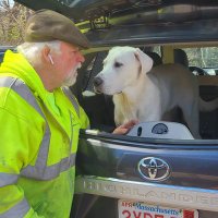 The Reiki Master / Dog Trainer (@mike00145234) 's Twitter Profile