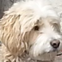 quall22 (@quall22) 's Twitter Profile
