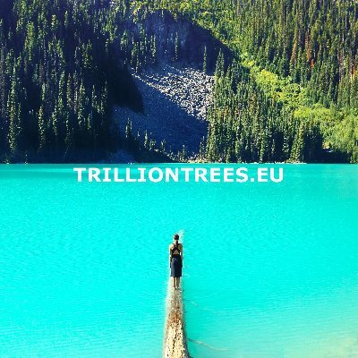 Greening Deserts Trillion Trees Initiative 4 Europe & Africa @TrillionTreesIn 4 #biodiversity #conservation #greening #regreening #reforestation #trilliontrees