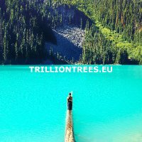 Trillion Trees Initiative Europe Forest Health(@TrillionTreesEU) 's Twitter Profile Photo