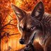 AxelFox (@hawtfoxxy) Twitter profile photo AxelFox (@hawtfoxxy) Twitter profile photo