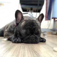 BOSS (@nori_336) 's Twitter Profile