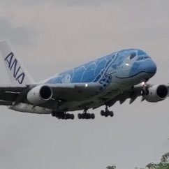 飛行機好きのリーマン✈︎NRT BASE ✈︎見るのも乗るのも好きで、動画撮影を中心にしています!電車も好きで呟きます。無言フォロー失礼を致します。✈︎https://t.co/cvI94Sb3Rc