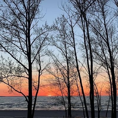 Parradejade's profile picture. 