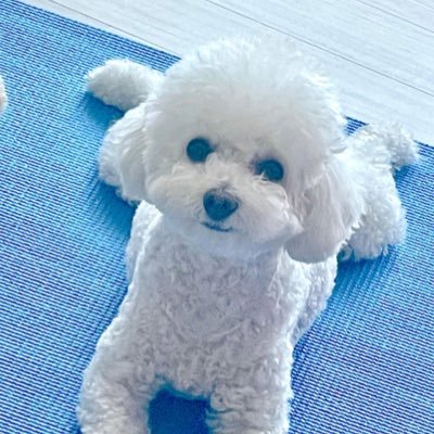 pon_hphp_pon's profile picture. 