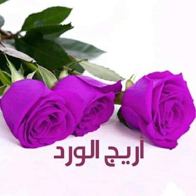 إنّي أُجاهد أن أكونَ كـغيمةٍ
بيضاء مرّت لا ضِرار و لا ضرر
كلٌّ يُغادر إنّما هي بصمة
فعسىٰ يُقال ”جميل روحٍ قد عبَر“
أهــلًا بكل من يمُر