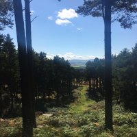 Nancy Taylor (@nancytay1976) 's Twitter Profile