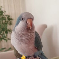 RÜSTEM AKÇİL (@akcilrustem) 's Twitter Profile