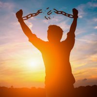 Freedom By FIREš„ (@baristafire) 's Twitter Profile