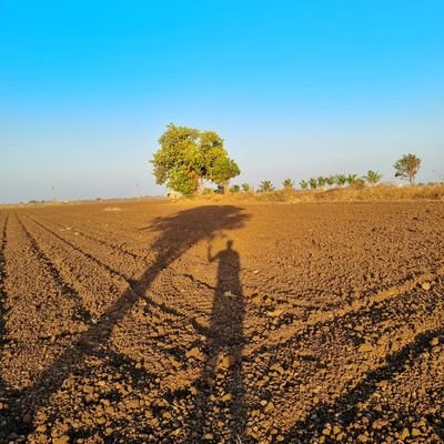 mori_utsav's profile picture. love photography and intrested into new era of farming which may change the future lifestyle and create awareness about nature.