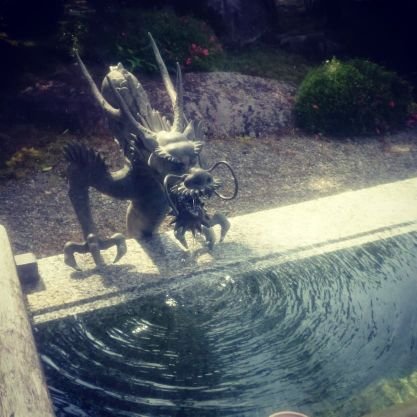 88888888th's profile picture. 