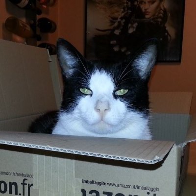 Sventastic_78's profile picture. State Certified Electrical Engineer.
Location: Germany.
Wife: Vietnamese.
Car: BEV
Home: Terra.
https://t.co/E22e1Nxp3t